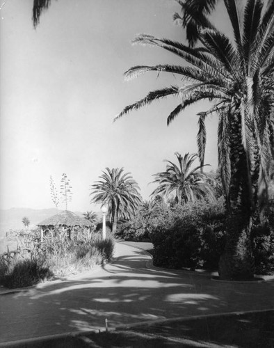 Walking path in Palisades Park