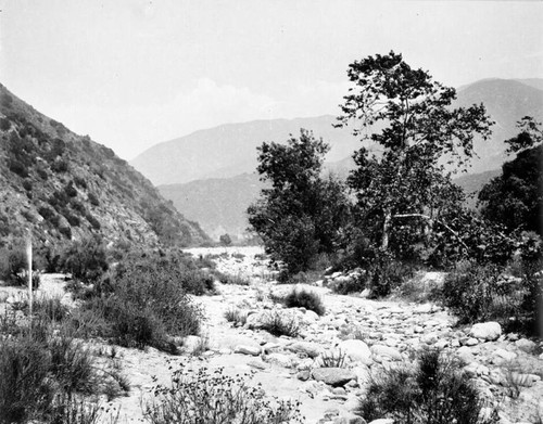 Site for future San Gabriel Dam