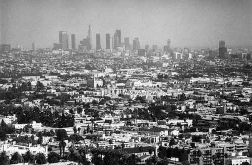 Downtown Los Angeles from Hollywood Hills