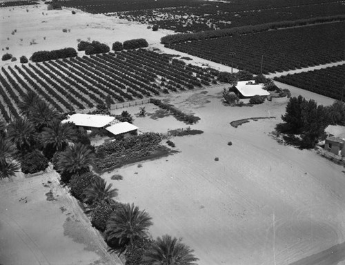 Palm Springs homes