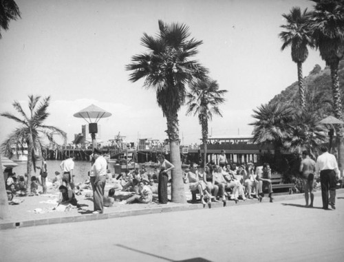 Beach and pier in Avalon