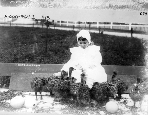 Child with ostrich chicks and eggs