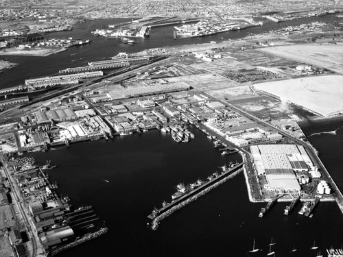 Fish Harbor, Los Angeles Harbor, looking northeast