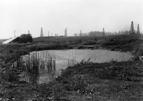 LaBrea tar pits and oil derricks