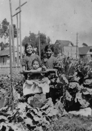 Children in a cabbage patch