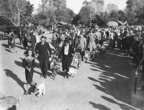 Dog show in Palm Springs