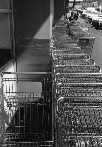 Pioneer Market shopping carts