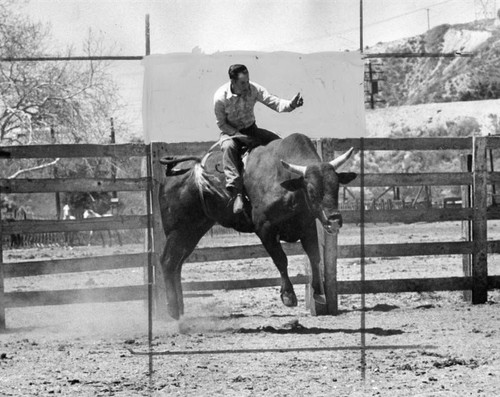 Newhall Rodeo, riders better than ever — Calisphere