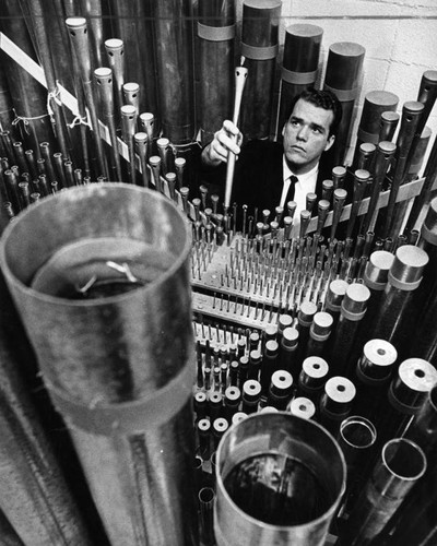 Music director builds pipe organ