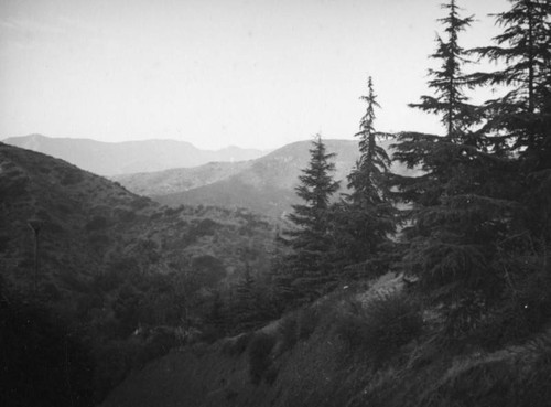 View of the mountains from the top of the Hollywood Bowl