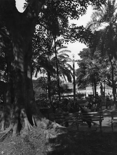 Men sitting in Plaza park, July 1939