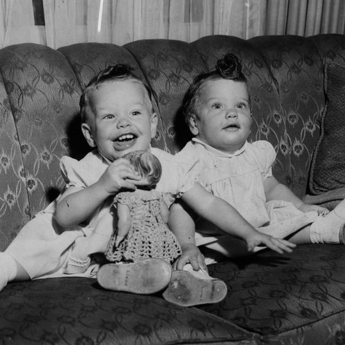 Valley twins get a 'bird-day' cake