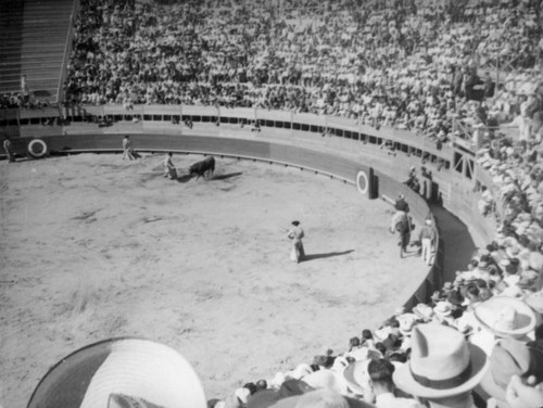 Bullfights, El Toreo de Tijuana