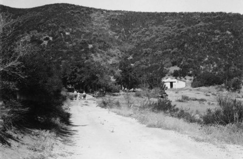 Road leading to La Fleur house