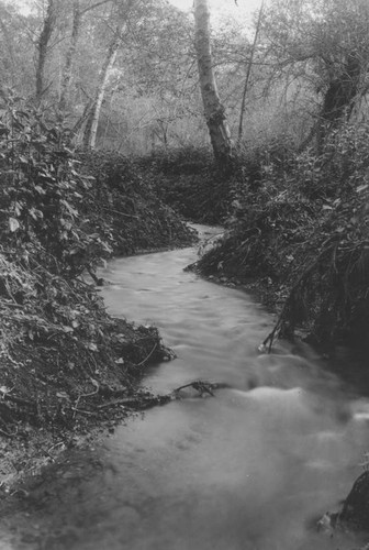 Tujunga Canyon