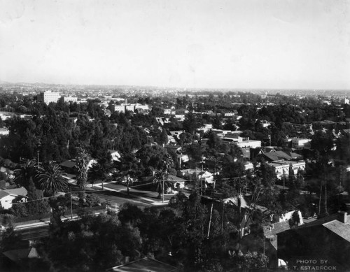 Hollywood panorama