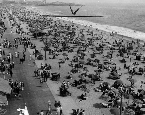 Beach at Ocean Park