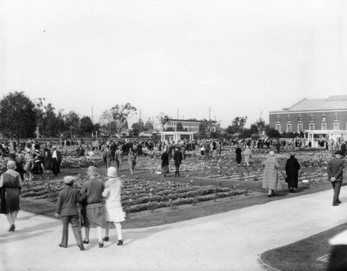 Rose garden at Exposition Park