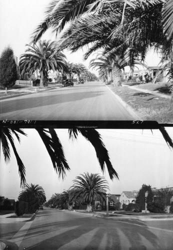 Residential homes, Harcourt Avenue, views 1-2