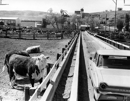 Newhall Land and Farming Co. is 86 years old