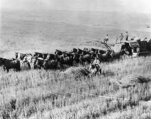 Harvest on Porter Ranch