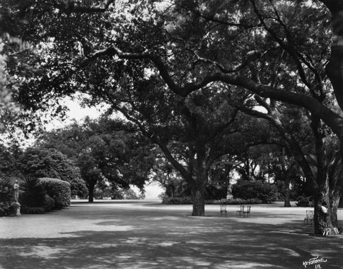 Croquet court