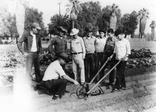 Sherman Institute agricultural students