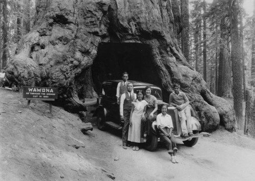 Family at Wawona Tree