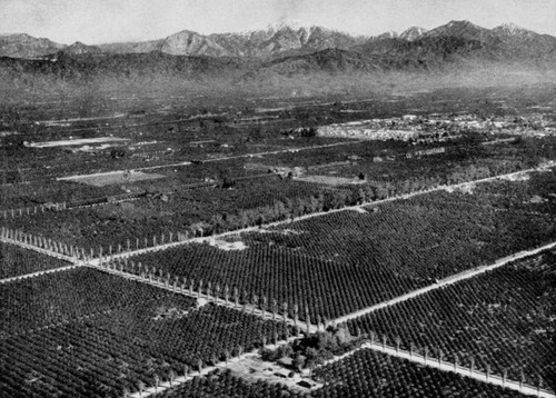 West Covina panoramic view