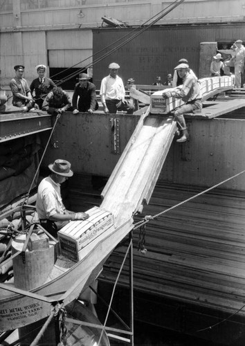 Loading oranges aboard British freighter