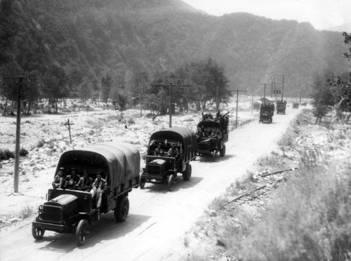 Civilian Conservation Corps reforestation, view 2