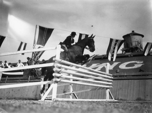 Show jumping