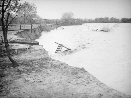 New jagged river bank, El Monte hog farm flood