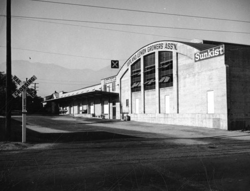 Upland Lemon Growers Association