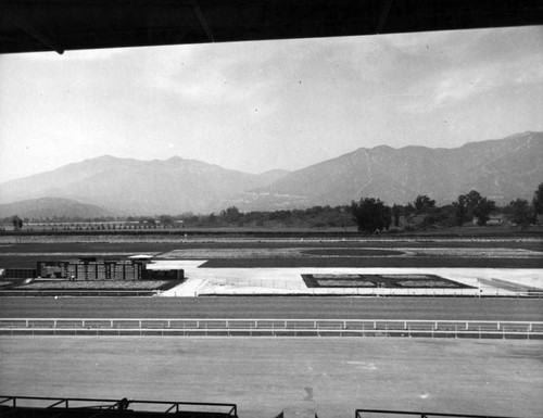 Santa Anita Racetrack from grandstand