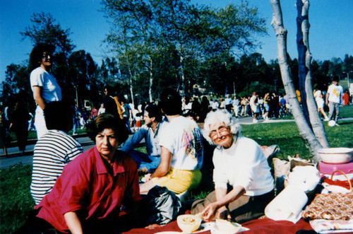 Picnic in the park