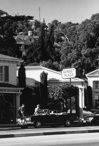 Residential homes above Sunset Strip