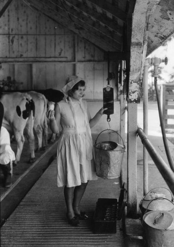 Weighing fresh milk