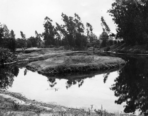 View across one of the tar pits