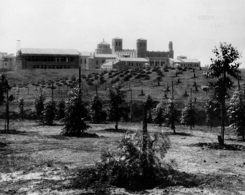 Haines Hall under construction, U.C.L.A