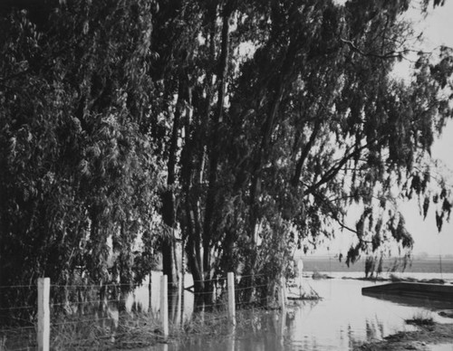 Flooding, Garden Grove at Norwalk Blvds