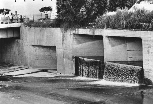 Oil spill into Ballona Creek