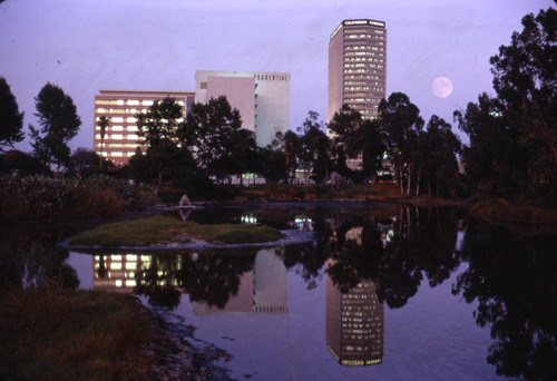 La Brea Tar Pits at sunset