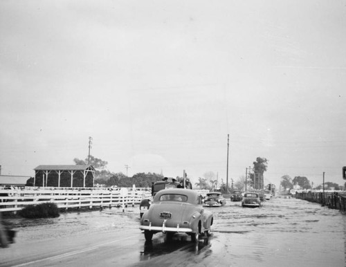 Flood in Bellflower