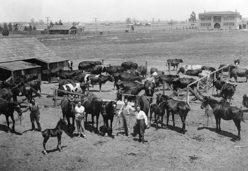 Dairy at Slauson and Vermont avenues