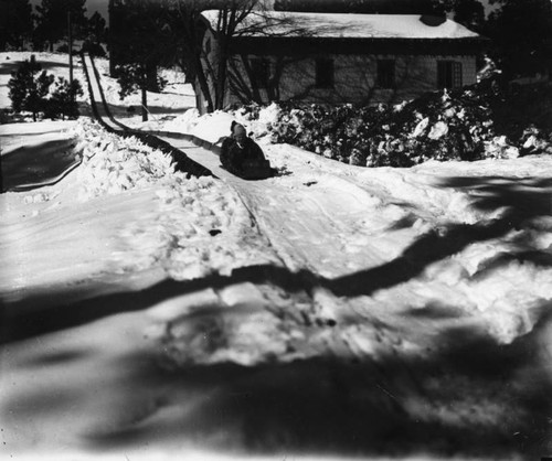 Tobogganing at Big Pines