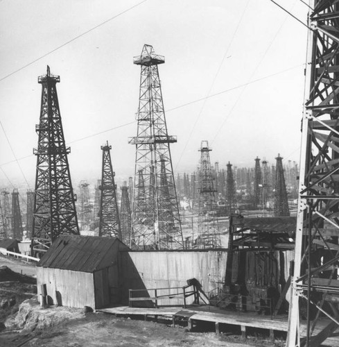 Oil derricks of Los Angeles, view 7