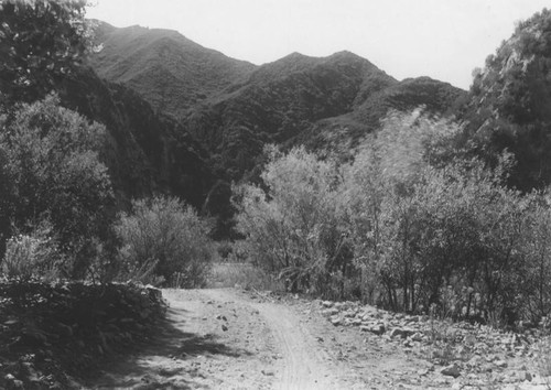 Tujunga Canyon