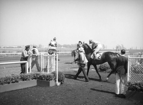 Leading horses onto the track Hollywood Park