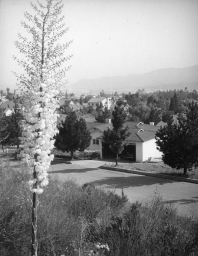 Southern California neighborhood